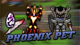 TibiaME Phoenix | Where and How to Get (Tutorial)