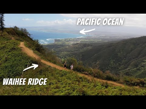 Video: The 10 Best Hikes sa Maui