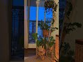 colours of nature at its best #plants #lifeisbutadream #ihavethisthingwithplants #houseplants