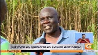 SUKARI CHUNGU | Kampuni za kibinafsi za sukari zinanawiri
