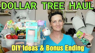 Dollar Tree Haul | Name Brands| Deals & DIY's| $1.25