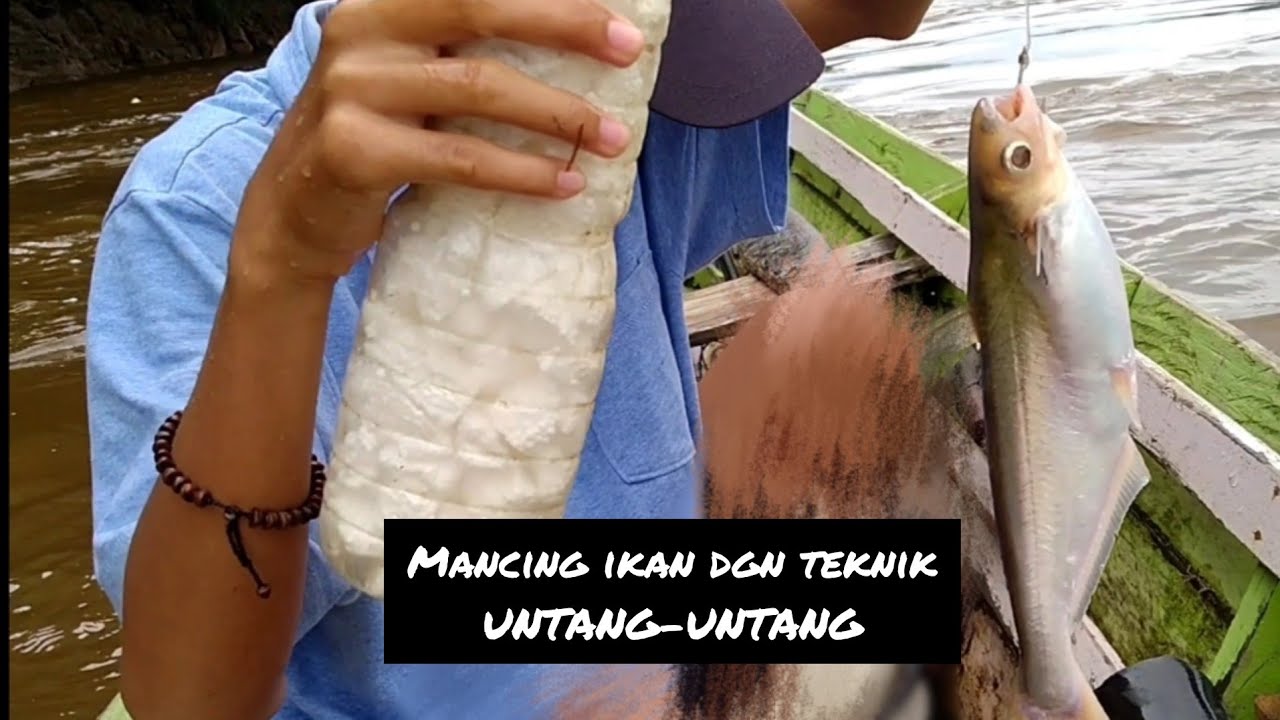 UNTANG-UNTANG DI SUNGAI BARITO | MANCING IKAN ALA ORANG DAYAK BAKUMPAI