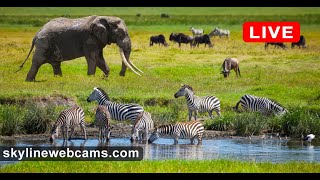 Live Webcam from Kenya - Voi Wildlife Lodge Tsavo
