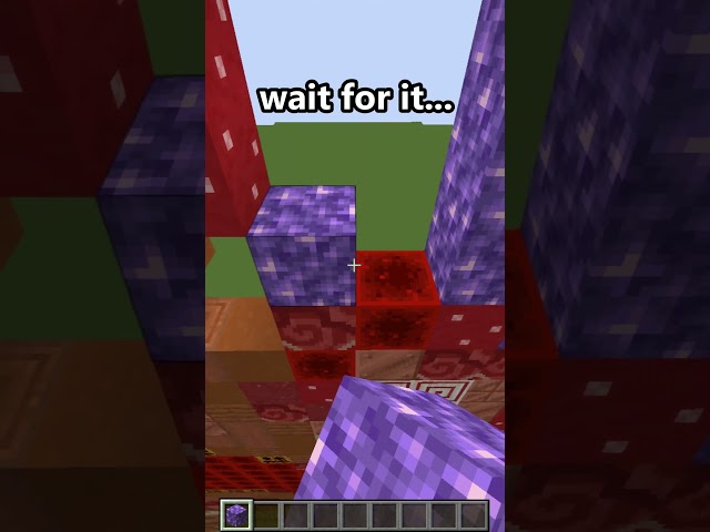 Minecraft: What in the Chocolate Strawberries did I just see? 😳 #Shorts