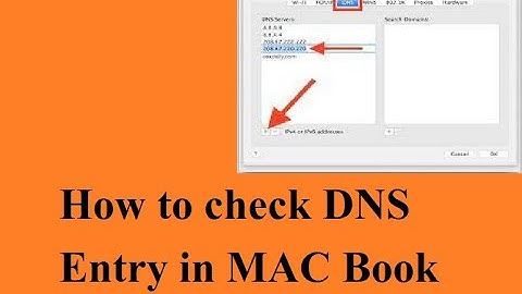 How to check DNS Entry in MAC Book