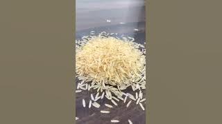 1121 Basmati’s All 4 Varieties.. RAW ||STEAM || WHITE SELLA || & GOLDEN SELLA #shahenterprisesfbd