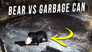 Wild Black Bear Helps Himself to an Outdoor Garbage Can