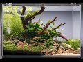 Non-CO2 Aquascape Tutorial - How to Set Up an Easy Low Energy Aquascape