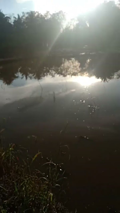 Berjuang Tanpa kenal lelah. Pangupo Jiwo