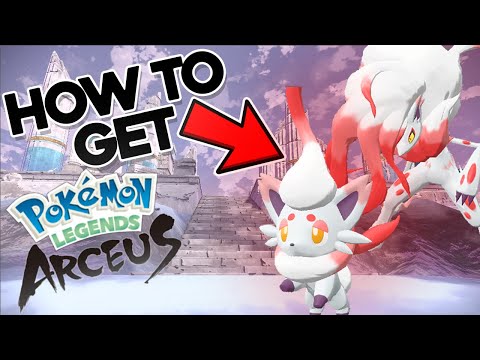 HOW TO GET HISUIAN ZORUA AND ZOROARK in POKEMON LEGENDS ARCEUS - YouTube
