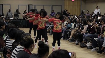 UNCC Stroll Competition 2011: Delta Sigma Theta Stroll 2