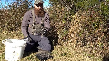 Victor #1 Soft Catch Trapping Rabbits