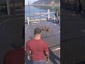 When Franklin went to see a cockfight - GTA 5 #shorts #gta5 #gaming
