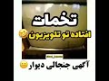 تخمات افتاده تو تلویزیون