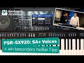 PSR SX920 SA Voices Und Ein Besonders Heißer Tipp