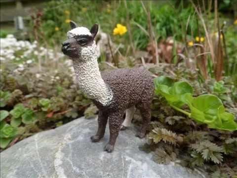Schleich 5# - YouTube