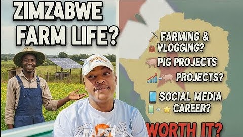 Pressure of Relocating to Zimbabwe 🇿🇼2025#relocation #zimbabwe #fypシ #diaspora #viralvideo 