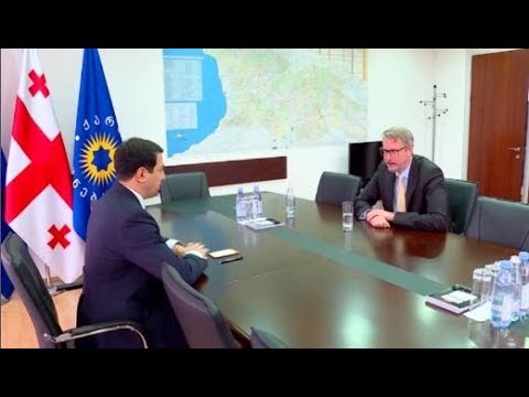 რა უთხრა ევროკავშირის ელჩმა ბიძინა ივანიშვილს და რა უთხრა „ოცნების“ თავმჯდომარემ კარლ ჰარცელს