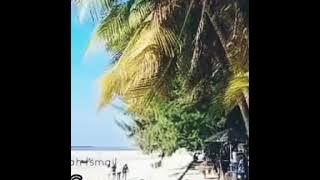 Kita Ditakdirkan Jatuh Cinta-Vidcover Lirik (Original Song Spring.cover by Darmansyah Ismail)
