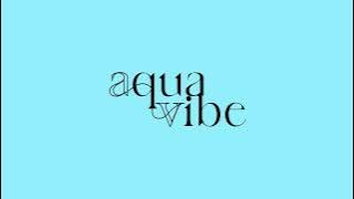 AquaVibe Branding Advertisement DVB301 A1
