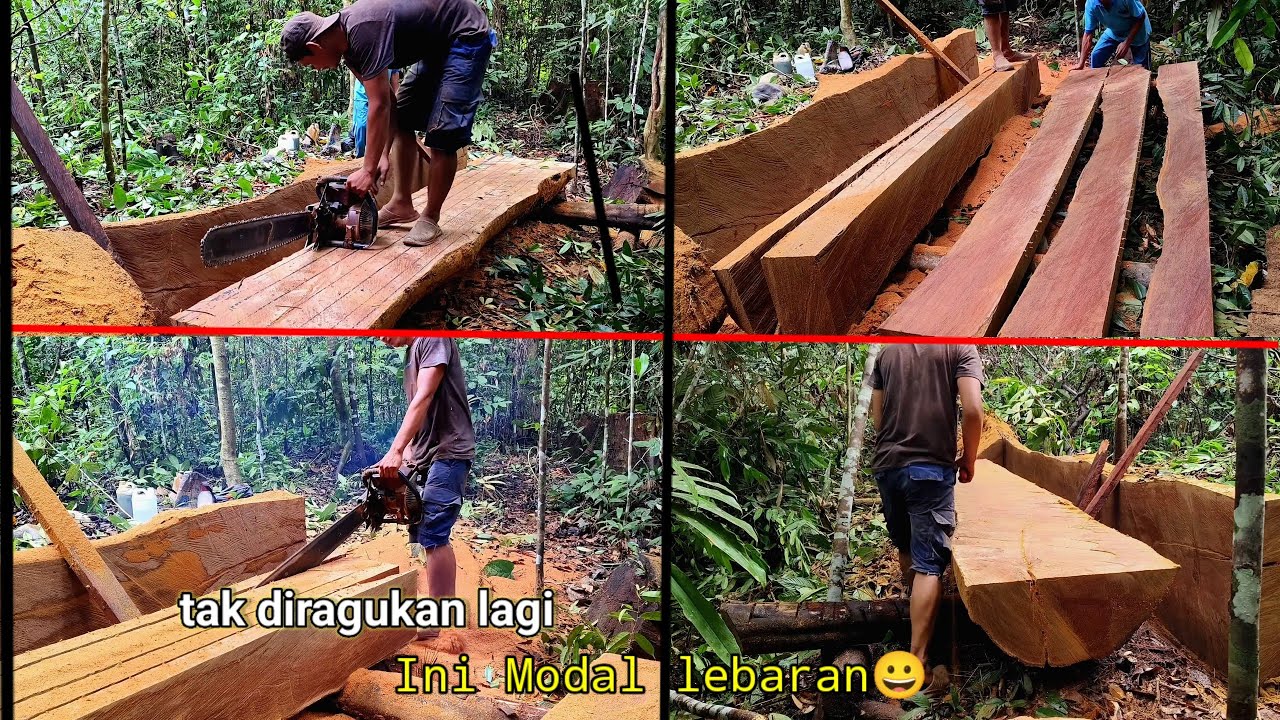 Hampir terlihat seperti tanah,,, Ini harta karun yang luar biasa‼️