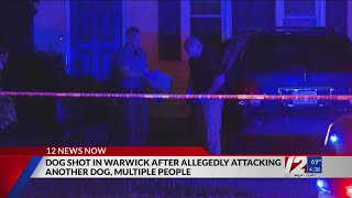 One person arrested after domestic disturbance where dog bit officer