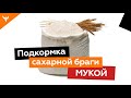 Подкормка сахарной браги мукой