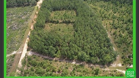 Wat is jouw plan voor over 100 jaar?