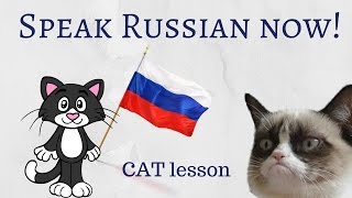Start speaking Russian! - Lesson for BEGINNERS #1 - A cat