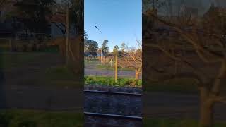 El Campo en la ciudad, Facultad de Agronomia, el tercer pulmon verde de Buenos Aires. #shorts #uba