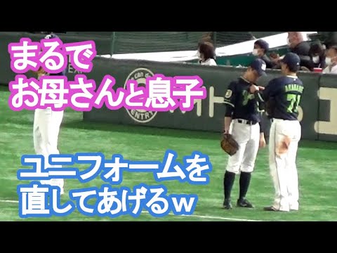 ヤクルト・山崎晃大朗のユニフォームを直してあげる赤羽由紘😅