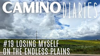 Losing Myself on the Endless Plains: Camino Diaries #19