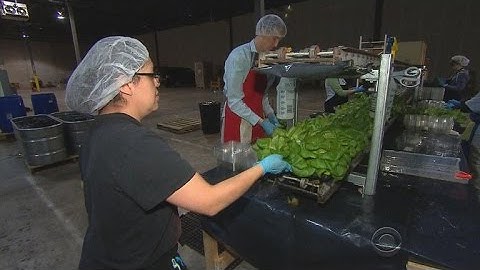 "Vertical Farms" -- A new way to grow