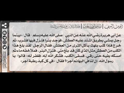 126 شرح حديث الرجل والمرأة البغي اللذان سقوا الكلب فغفر الله لهما الشيخ عبدالرزاق البدر
