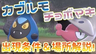 ポケモン剣盾 図鑑埋めでつまずきがちなシュバルゴ アギルダーの進化前をゲットする方法 ポケットモンスター ソード シールド Youtube