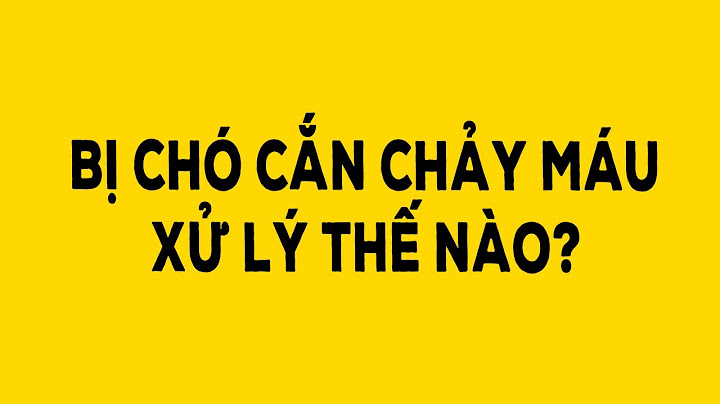 Bị chó cắn không chảy máu phải làm sao?