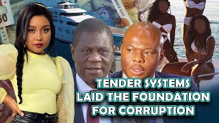 Tender Systems Laid The Foundation For Corruption In South Africa by African Diaspora News Channel 2,009 views 1 day ago 14 minutes, 49 seconds