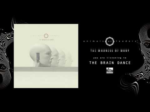 ANIMALS AS LEADERS - The Brain Dance