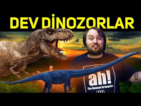 Video: Sauropodların içi boş sümüklərə malikdirmi?