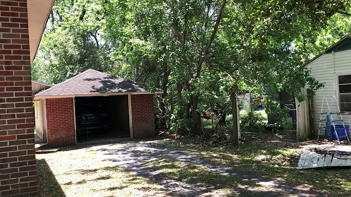 Patrick Gibbs Cutting Down Trees At My House on Ap...