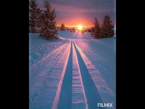 فتحي البصلي عالشيكات ربوخ تونسي