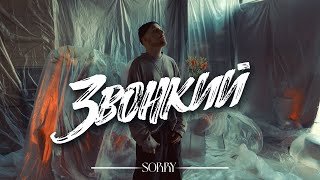 Звонкий - Sorry
