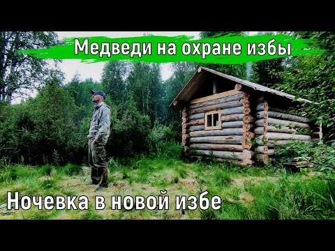 Видео: Строительство таёжной избы.Нанял охрану 3-х медведей.Умный в гору не пойдёт,а я пойду.