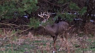 DEER HUNTING Season In Pennsylvania 2020 John&#39;s Rifle Season Part 1 WHITETAIL BUCK RUTTING ACTION!