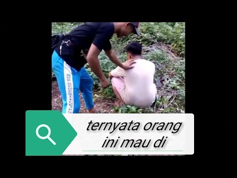 Video: Pemotong Dan Pemotong Rumput Rakan Kongsi: Pemotong Petrol Rakan Kongsi Dan Sabit Elektrik Sendiri, Manual Pengguna