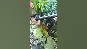 #MacroVR , #Macro3d360 Some backstage from shooting a macro 3D 360 in Opole zoo #Shramko