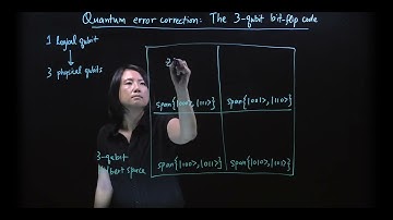 Visualization For a Quantum Error Correction Code -- By Prof. Hui Khoon Ng (condensed version)