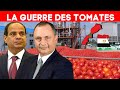 Le maroc contreattaque  droits antidumping sur les tomates gyptiennes 