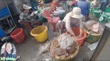 Tàu về quá nhiều cá tôm mực tại cảng vàm láng Gò công đông