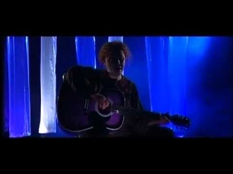 narcisa suciu campuri aurii